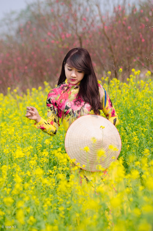 天天向上2012