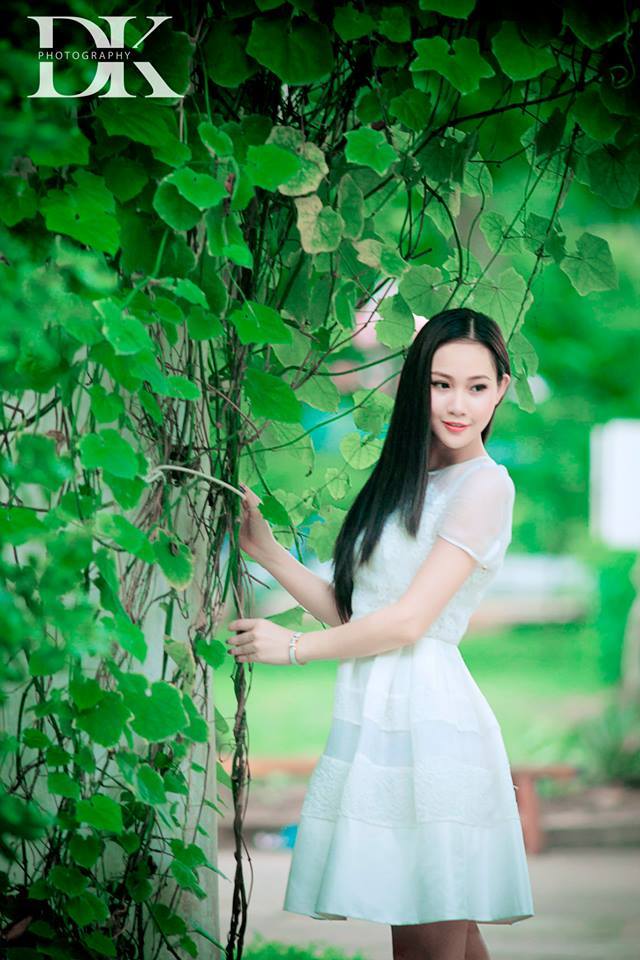 浪漫櫻花動漫在線觀看高清版