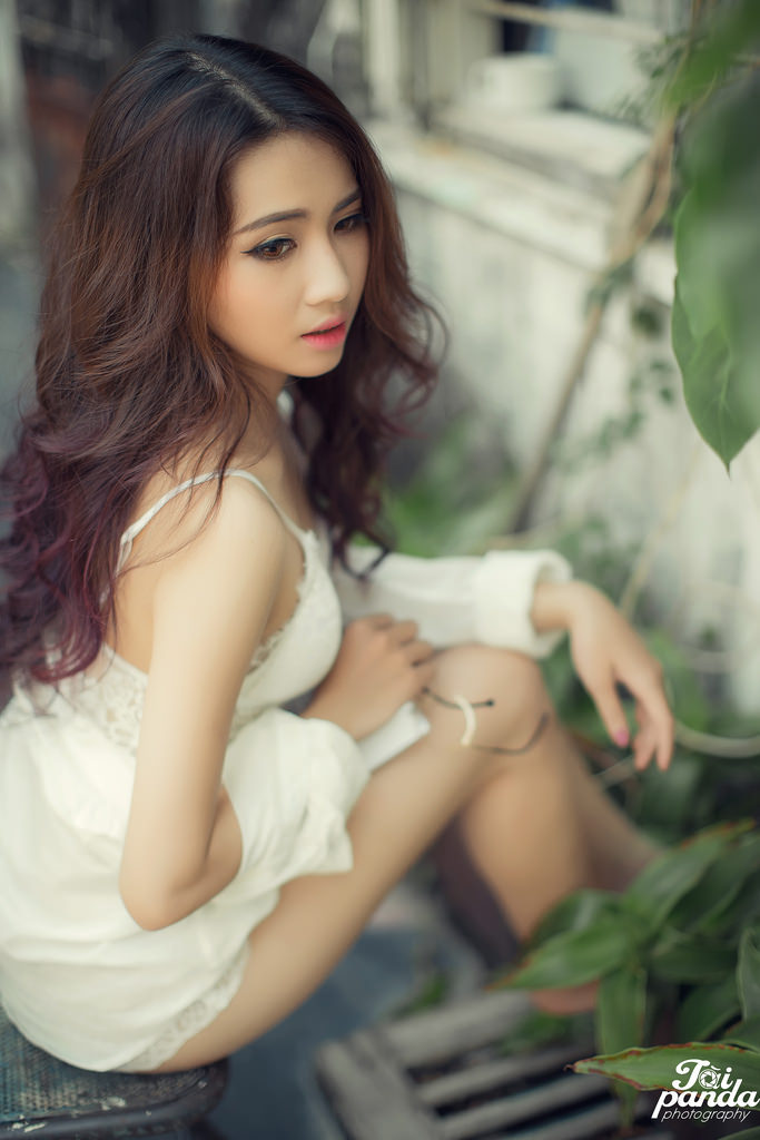 貪婪 欲望之島