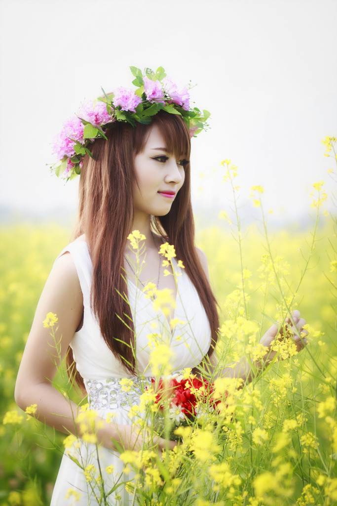 臺(tái)灣倫理桃花劫