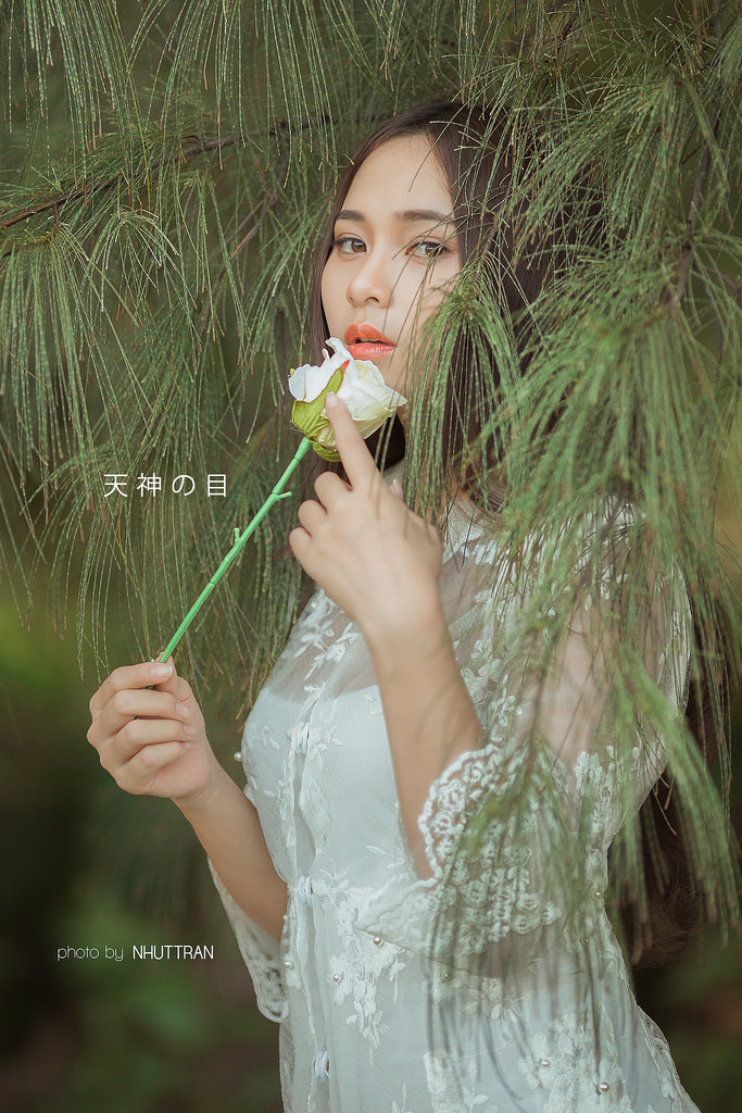 李采潭免費電影
